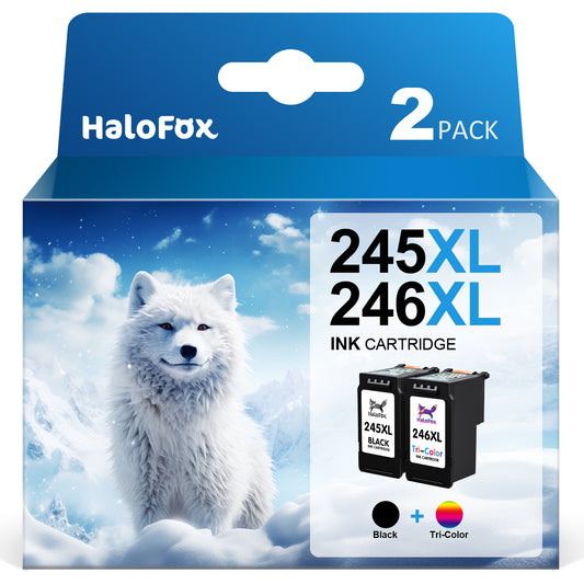 245XL 246XL Ink Cartridges for Canon Ink 245MG2420 MG2520 MG2522 MG2920 MG2922 MG3022 MG3029 Printer (2-Pack)