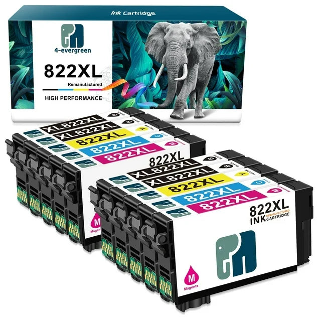 822XL Ink Cartridge for Epson Printer (4 Black 2 Cyan 2 Magenta 2 Yellow,10-Pack)